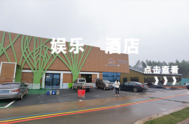 娱 乐 酒店 工程案列