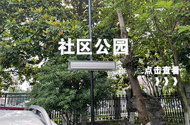 街道 单位 私企